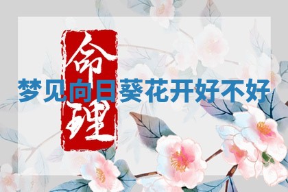 2025年10月03日打牌打麻将方向