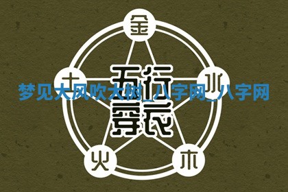 方姓2026年02月05日出生的男孩子命理分析与起名攻略