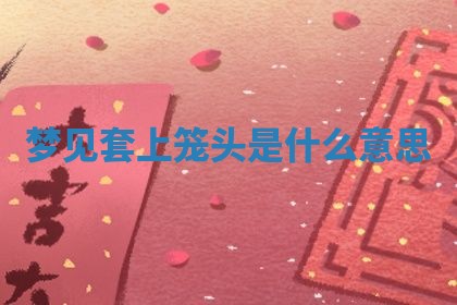 2025年10月03日打牌打麻将方向