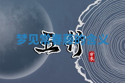 2025年10月03日打牌打麻将方向