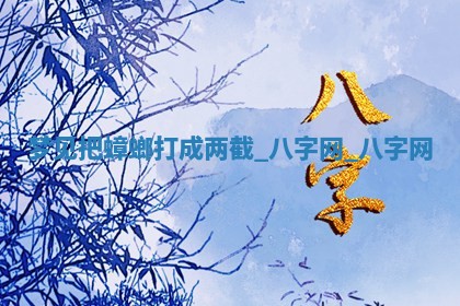 2025年10月08日打牌各时辰财神方向