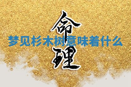 2025年10月03日打牌打麻将方向