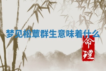 2025年10月03日打牌打麻将方向