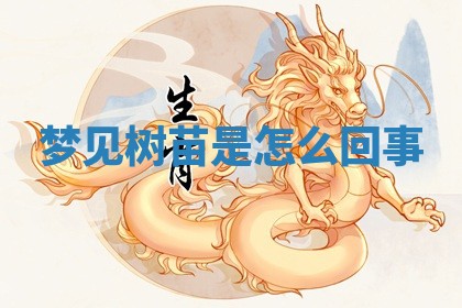 2025年10月03日打牌打麻将方向