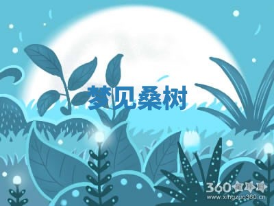 2025年10月03日打牌打麻将方向