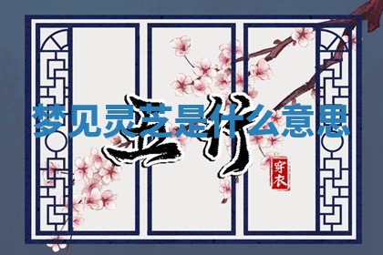 2025年10月03日打牌打麻将方向