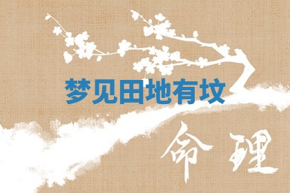 2025年10月03日打牌打麻将方向