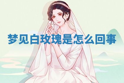 2025年10月03日打牌打麻将方向