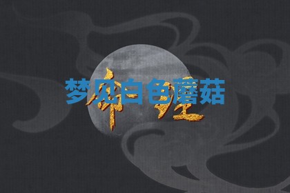 2025年10月03日打牌打麻将方向