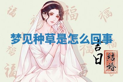 2025年10月03日打牌打麻将方向