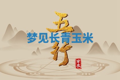 2025年10月03日打牌打麻将方向