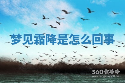 2025年10月03日打牌打麻将方向