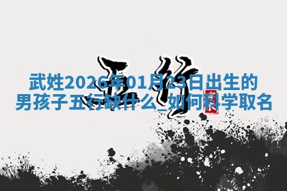 万姓2026年01月14日出生的女孩子命理分析与起名攻略