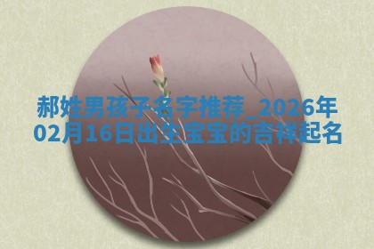 郝姓男孩子名字推荐：2026年02月16日出生宝宝的吉祥起名