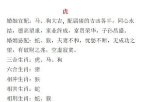 八字看配偶属相表(如何在八字中看配偶信息)