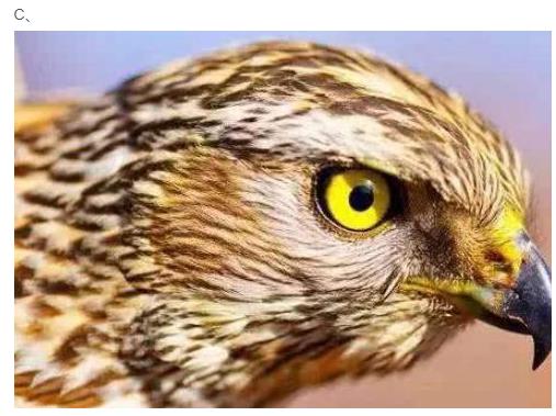 1577168758924993.jpg 3.jpg